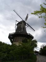 DSC05379 