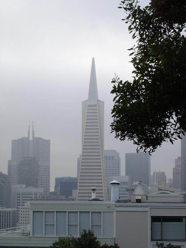 DSC06134.JPG - Sicht vom Coit Tower zum Geschäftsbezirk