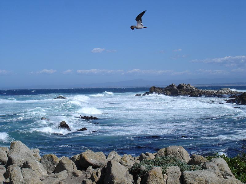 DSC06296.JPG - CA 1