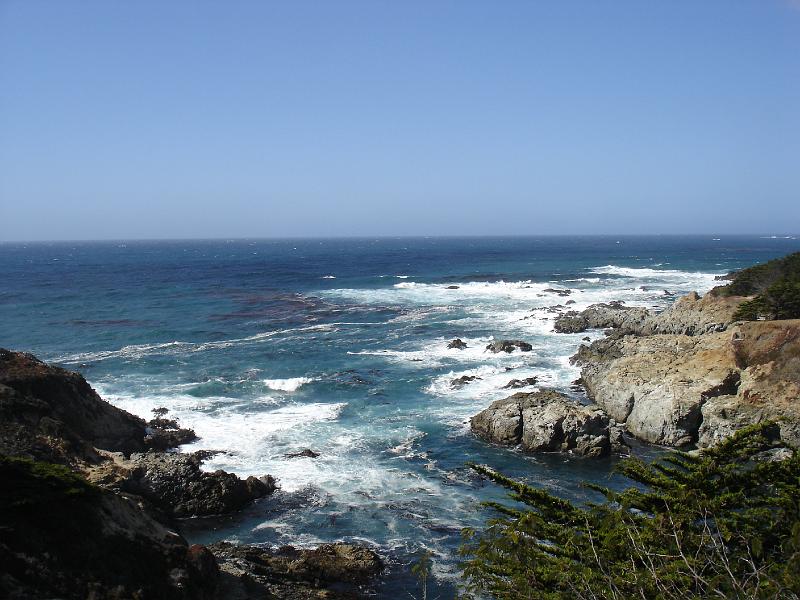 DSC06308.JPG - CA 1