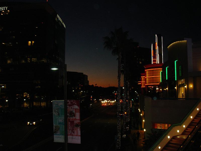 DSC06511.JPG - Night Life