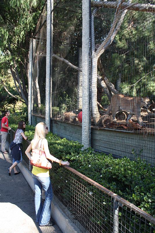 IMG_0761.jpg - Zoo