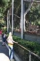 IMG_0761