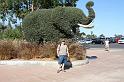 IMG_0813