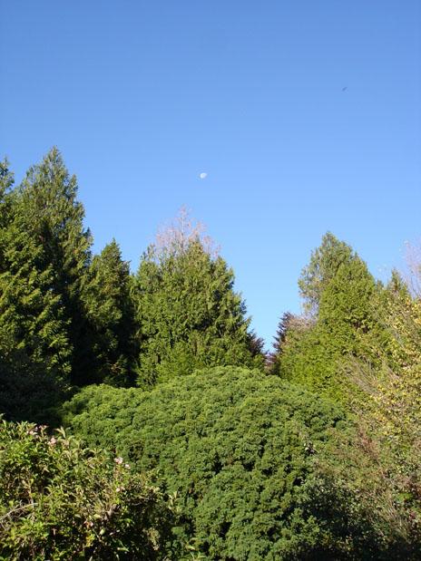 DSC04878 
