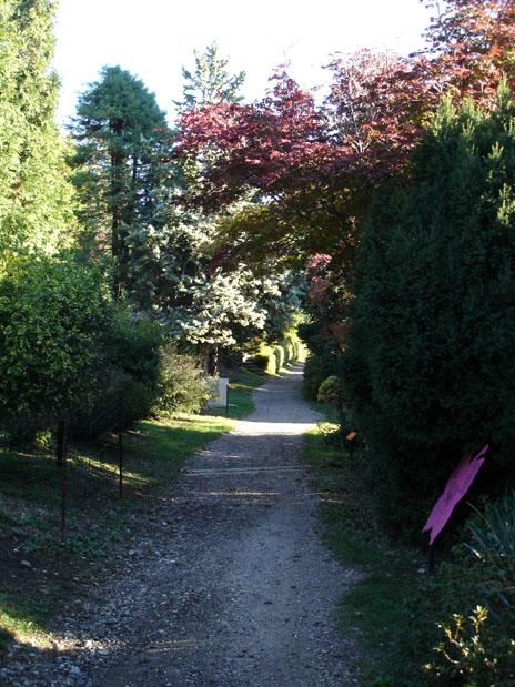 DSC04880 