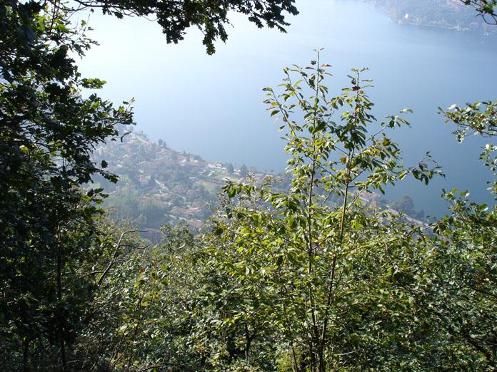 DSC04992 
