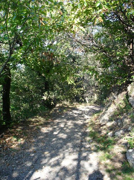 DSC04995 