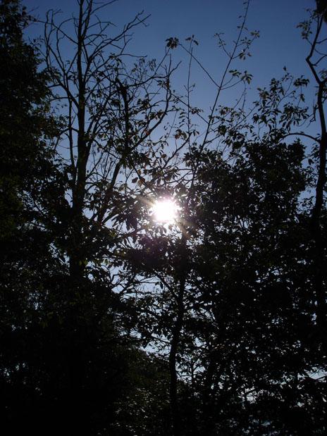 DSC05002 