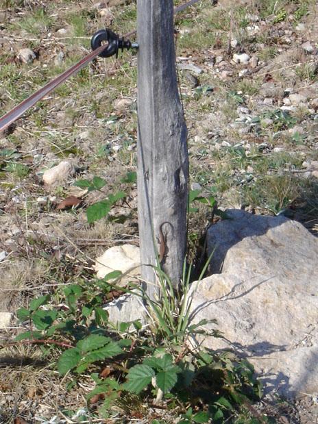 DSC05003 