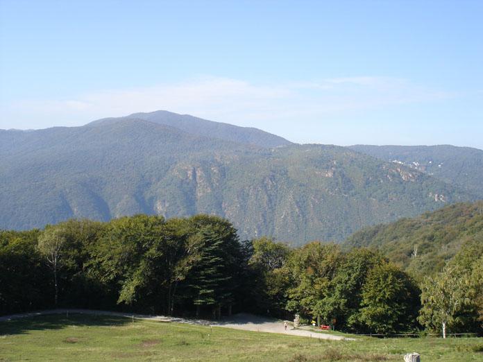 DSC05008 