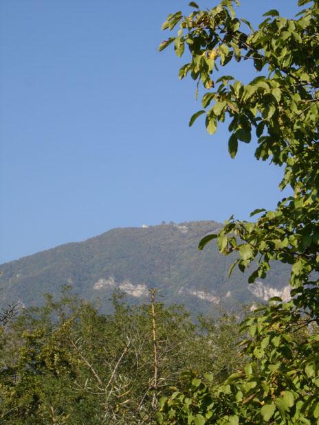 DSC05012 