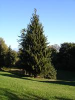 DSC04875 