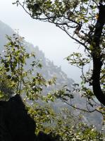 DSC04989