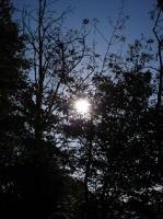 DSC05002