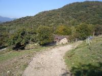 DSC05004 