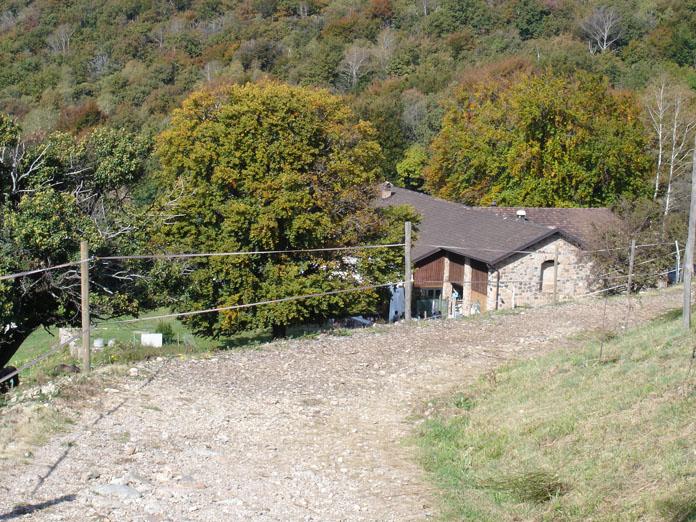 DSC05647 