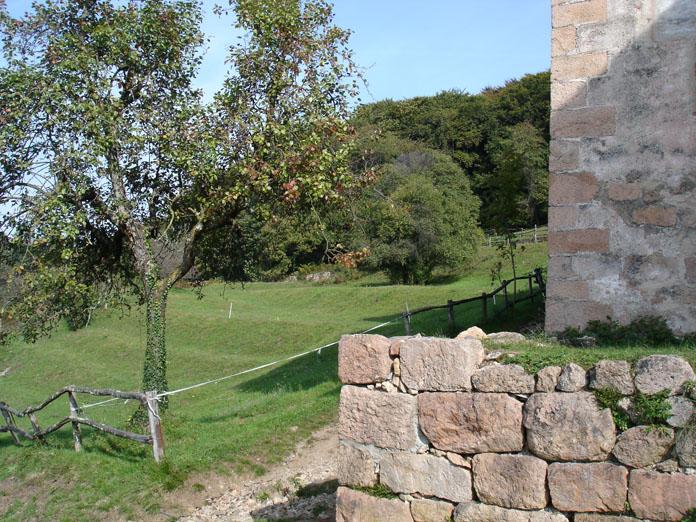 DSC05715 