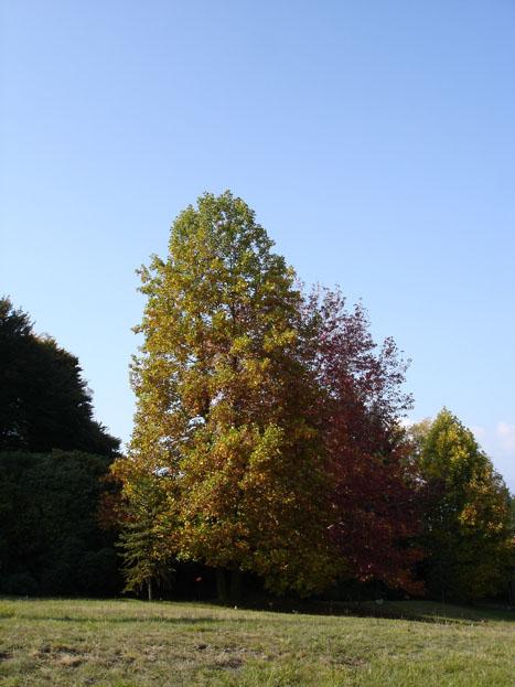 DSC05739 