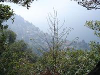 DSC05695 