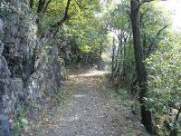 DSC05699 