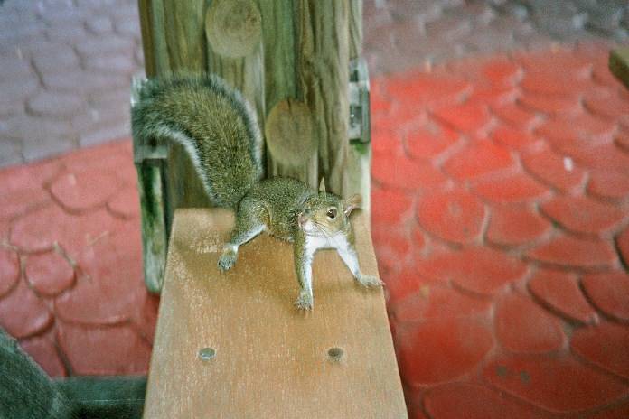 DSC04274f 