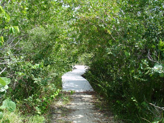 DSC04444 