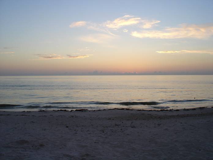 DSC04460 