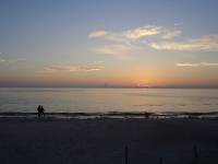 DSC04455