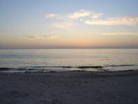 DSC04460