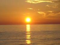 DSC04530