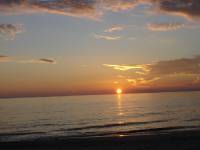 DSC04536