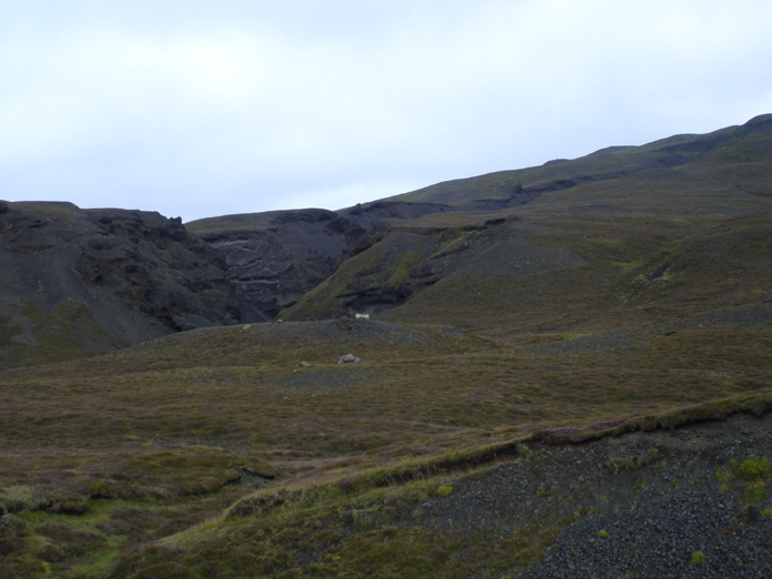 DSC05817.JPG