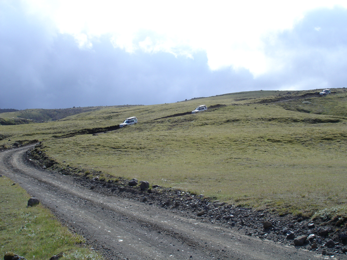 DSC05845.JPG