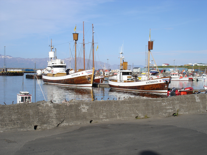 DSC05954.JPG