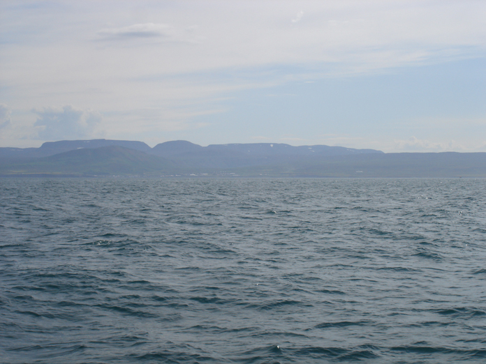 DSC05963.JPG