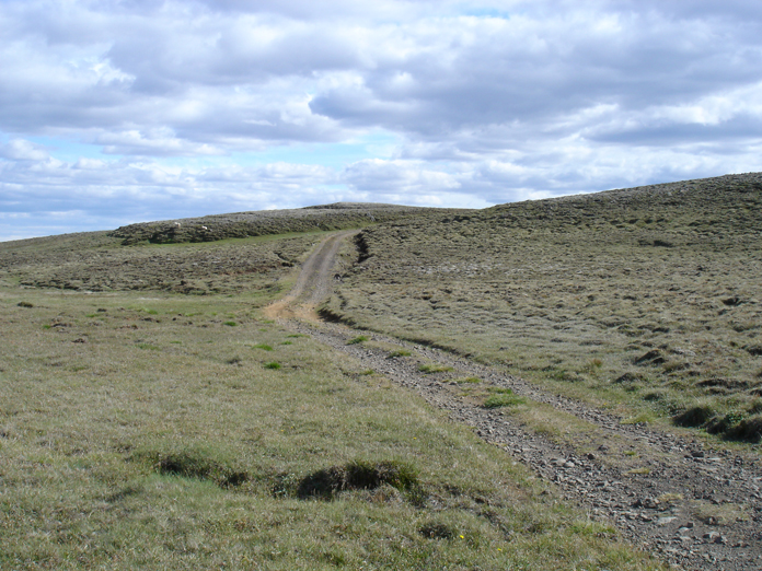 DSC06016.JPG