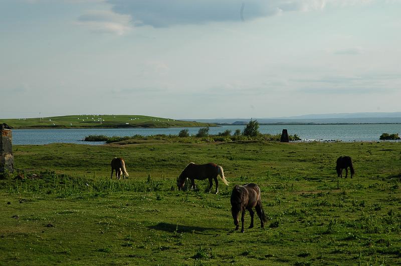 DSC_0021.JPG